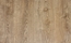 Carvalho Fossil 751
