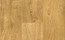 Carvalho Ensor 110